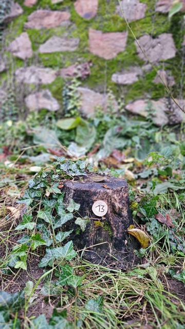 Grundstück 13