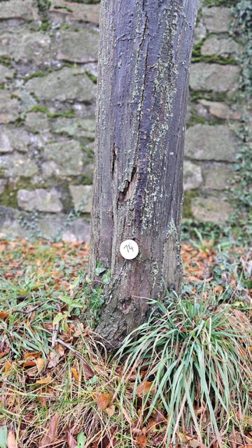 Grundstück 14