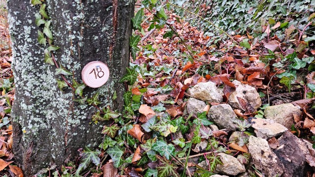 Grundstück 18