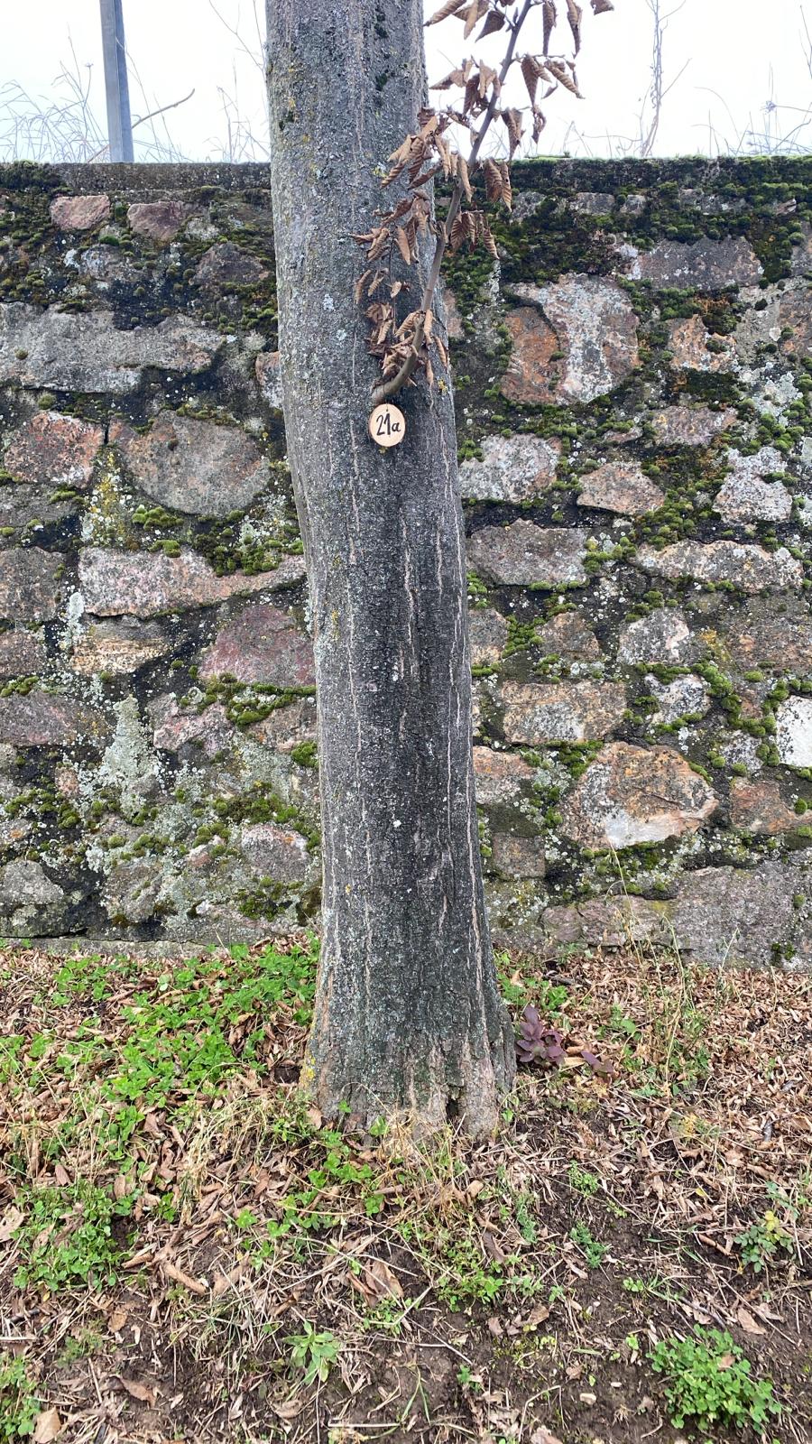 Grundstück 21a