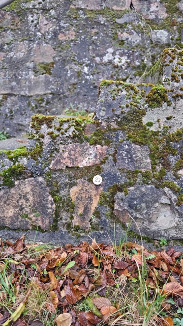 Grundstück 23