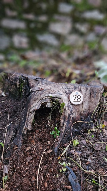 Grundstück 28