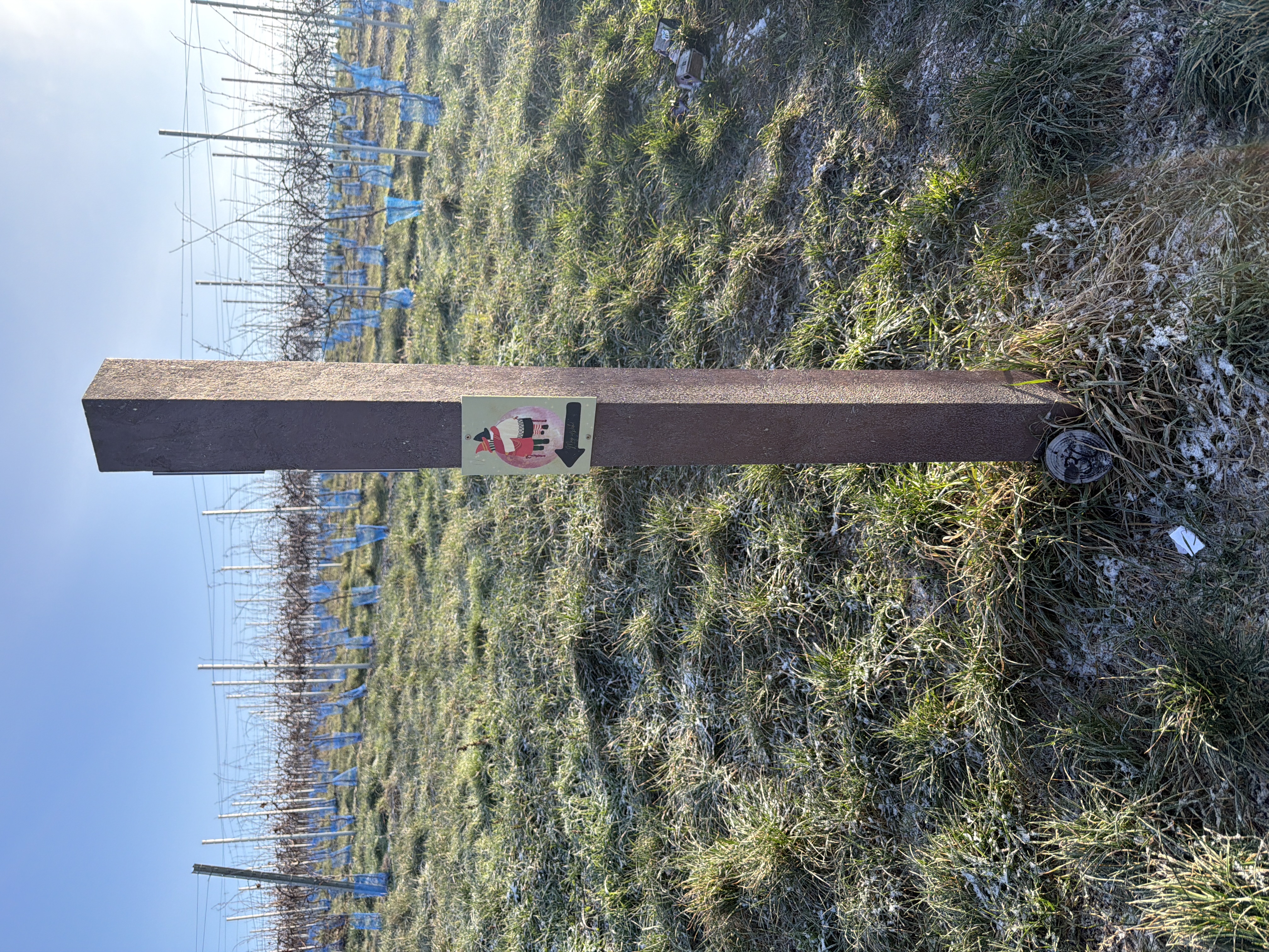 Grundstück 30