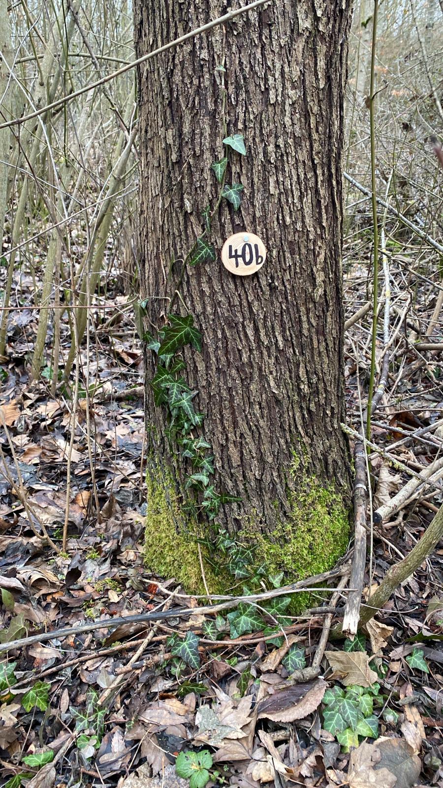 Grundstück 40b