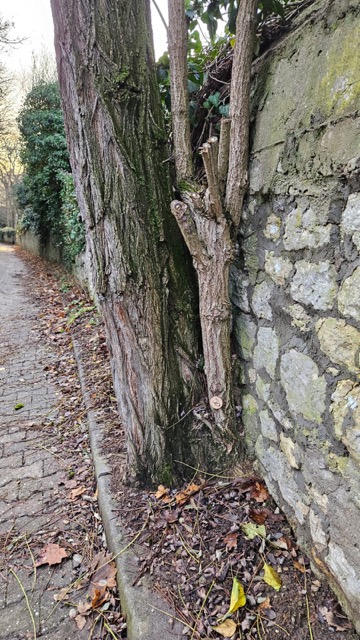 Grundstück 48
