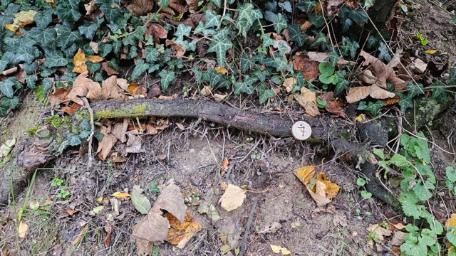 Grundstück 7