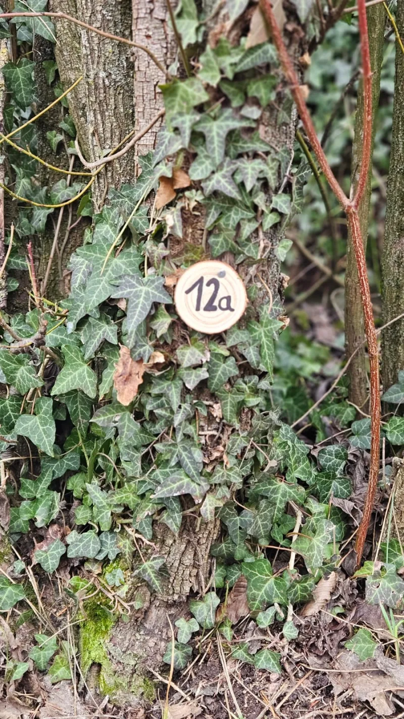 Grundstück 12a
