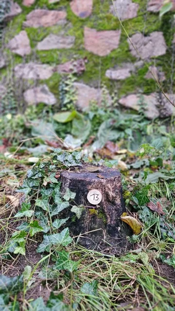Grundstück 13