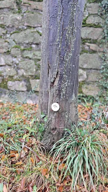 Grundstück 14