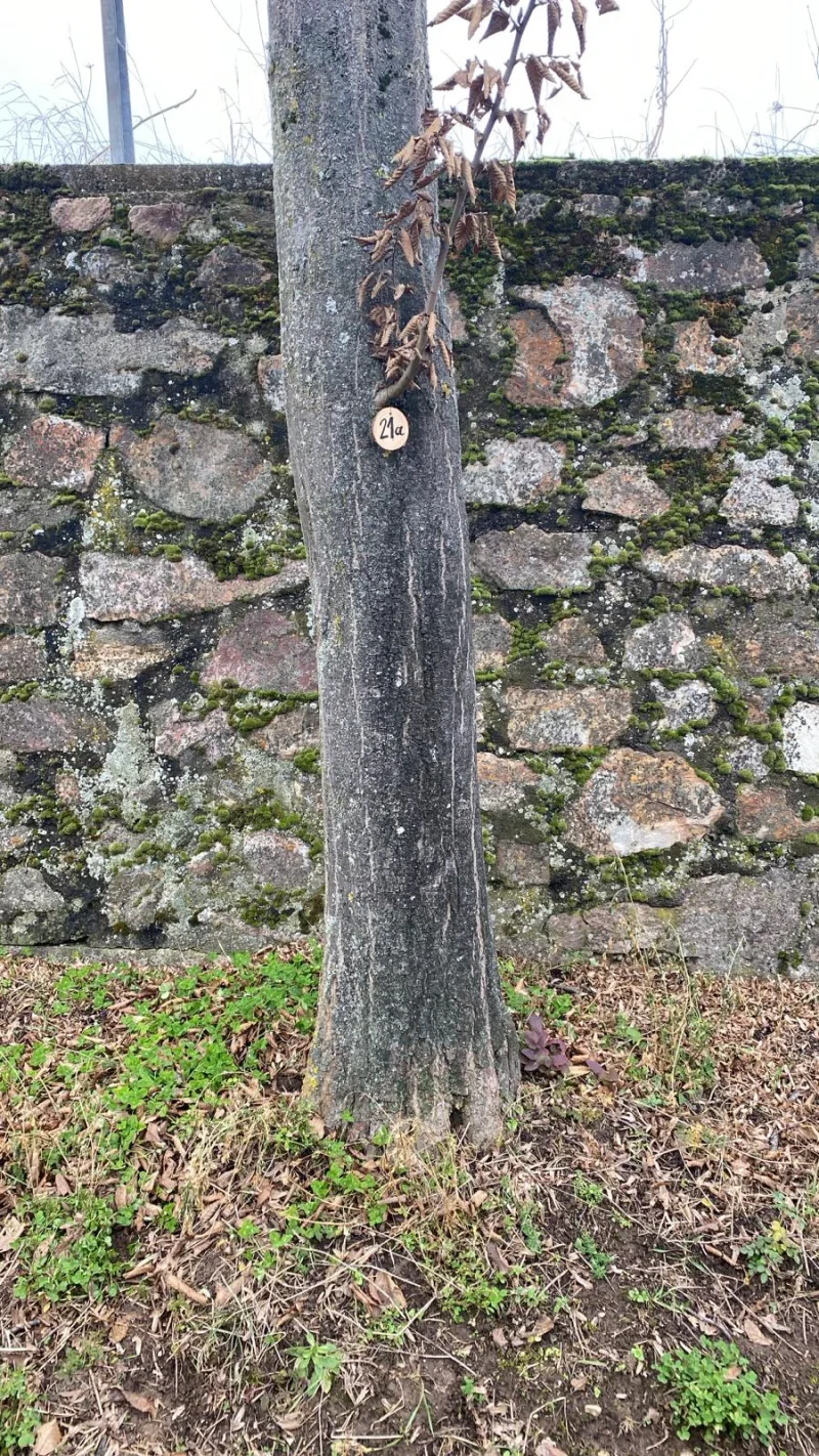Grundstück 21a