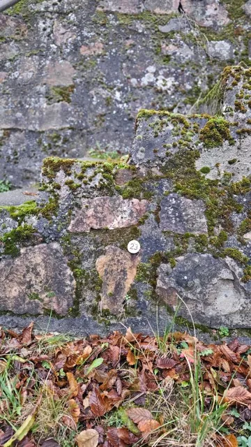 Grundstück 23