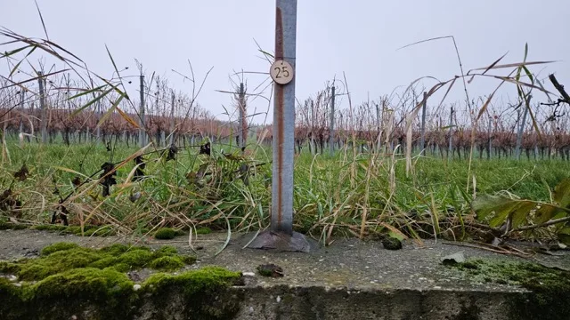 Grundstück 25