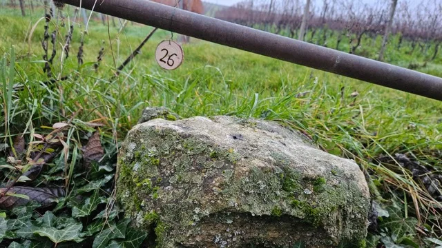 Grundstück 26