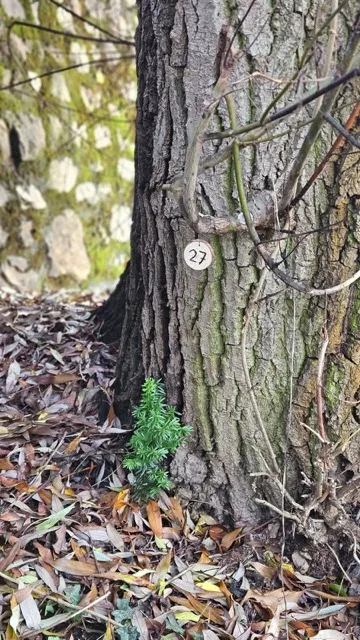 Grundstück 27