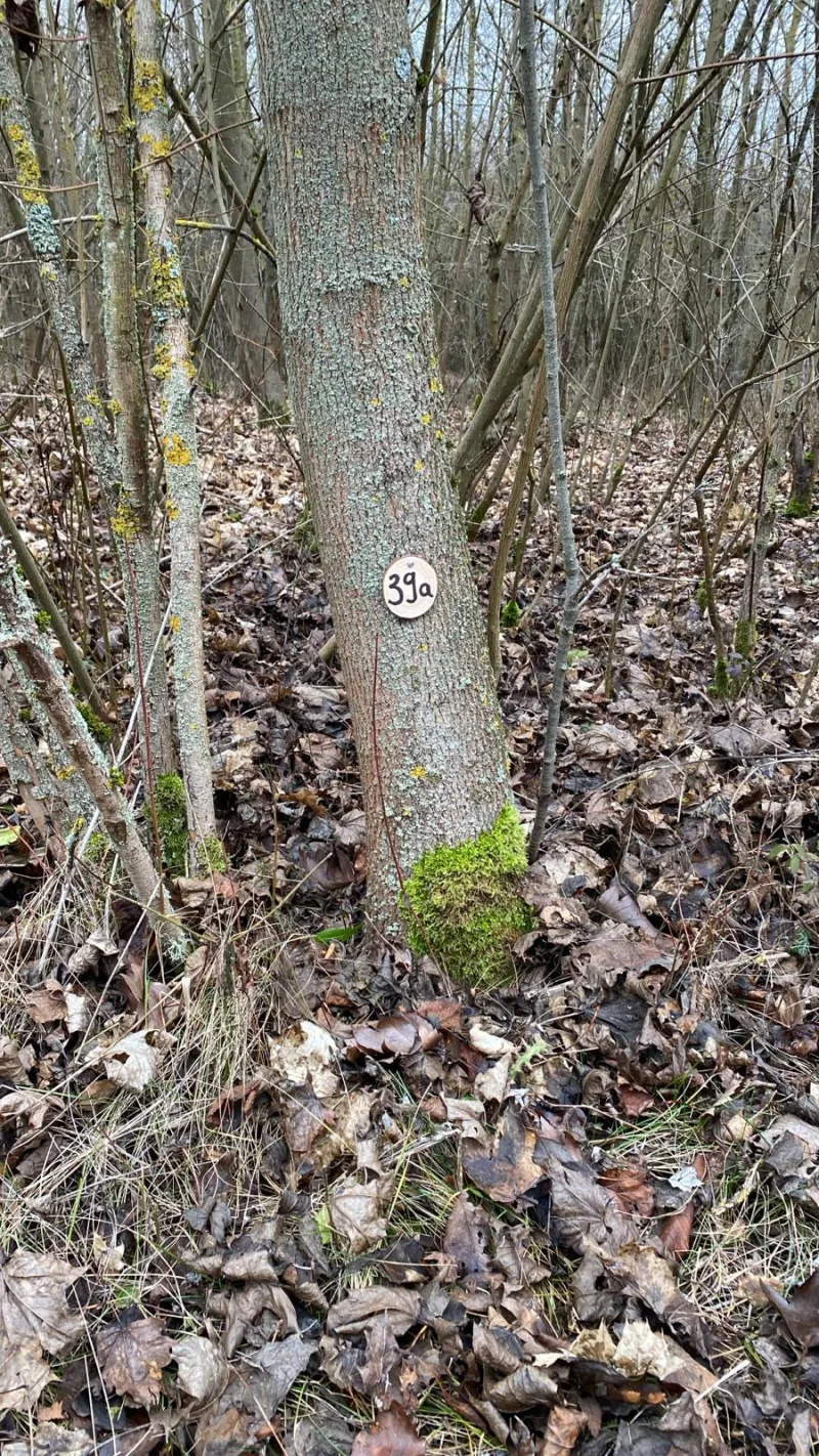 Grundstück 39a