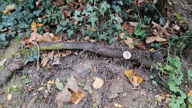 Grundstück 7