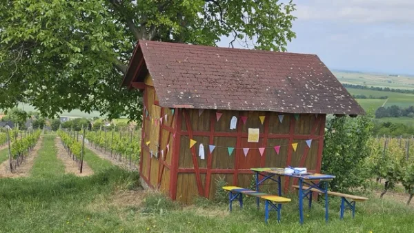 Magisches Wichtelhaus - am Wegesrand, Events